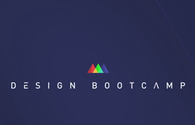 School of Motion - Design Bootcamp 2020