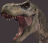 all dinosaurs 3d models C4D Rigged