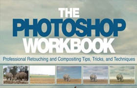 The Photoshop Workbook 2015