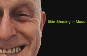 Ten24 - Modo Skin Shader Tutorials