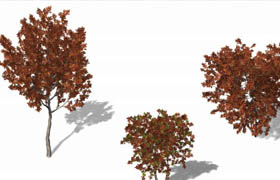 Xfrog 秋季植物模型库