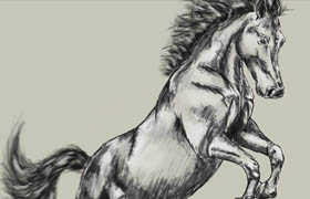 TutsPlus - Digital Drawing 101 Drawing Animals
