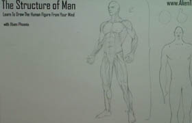 The Structure of Man Human Being