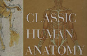 Classic Human Anatomy The Artist's Guide to Form, Function, and Movement