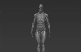 Udemy - Unleash Anatomy by Ryan Kingslien part1-part4