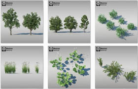 Maxtree - Complete Collection 3D Plants