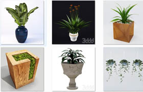 3ddd - plants 植物