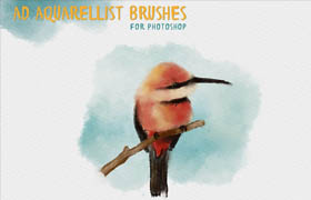 Alex Dukal's Aquarellist Brushes