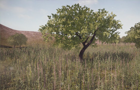 Pluralsight - Creating Low Poly Trees in 3ds Max