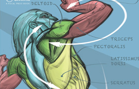 Mattesi - Force - Drawing Human Anatomy