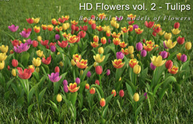 3dMentor HD flowers vol.2 Tulips