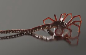 cmiVFX - The Facehugger Series Modeling Texturing Rigging and Animating