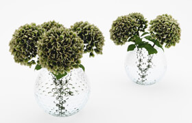 Hydrangea bouquet - model