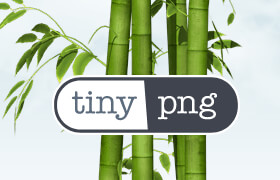 TinyPNG / TinyJPG