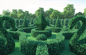 CGAxis Models Volume 89 Hedges 3D