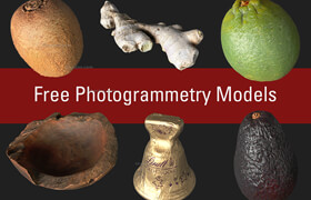 Photogrammetry (3D Scanned) Models - 3d model