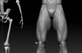 Creación de personajes 3d con Zbrush Vol.1- El cuerpo