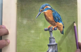Udemy - The Colored Pencil Drawing Techniques Course