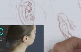 New Masters Academy - The Structure of the Head with Steve Huston  Part 6 The Ears