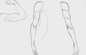 Skillshare - How to Improve Your Figure Drawing - Step by Step with Robert Marzullo