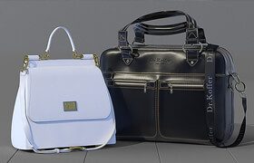 Business leather bag Dr.Koffer + women's bag Dolce Gabbana