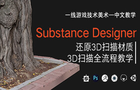 【正版】【答疑】Substance Designer还原3D扫描材质&3D扫描全流程中文教学