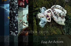 Fine Art Bundle - Four Collections