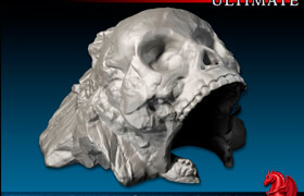 DRAGONLOCK Ultimate - FDG0221 - Skull Entrance