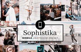 Creativemarket - Mobile Lightroom Preset Sophistika