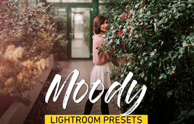 Creativemarket - Moody Lightroom Presets Bundle