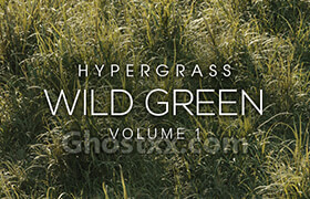 Vertex Library HyperGraph 01 WildGreen