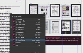 Pluralsight - InDesign CC Developing Long Documents, Books, and Manuals (2018)