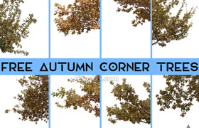 Autumn Corner Trees Stardust Visual