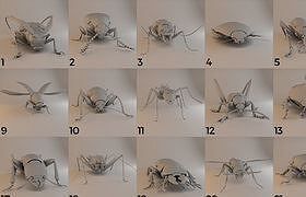 Cgtrader - Insects - Beetles Pack - 60 Species 3D model