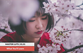 Phlearn Pro - How to Master LUTs for Photo & Video