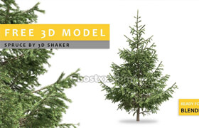 3D Models Spruce  3D Shaker