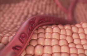 Skillshare - Animating Blood Flow in a Vessel with C4D