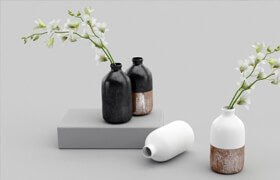 Westelm vases with Orchids