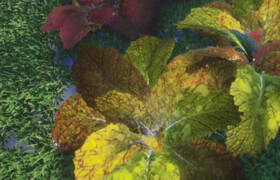 Gumroad - Creating Foliage in Substance Designer  Bogodar Havrylyuk