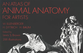 ellenberger atlas animal anatomy for artists - book