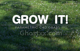 Grow It! For Cinema 4D  Darstellungsart   ​