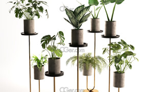 Cgtrader - Cigales Plant Stands 3D model