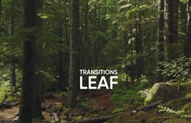 Motion Array - Leaf Transitions - Premiere Pro Templates
