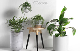Cgtrader - Stool and Pots with Plants 3D model