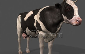 Cgtrader - Top Cow - 3d model 3D model