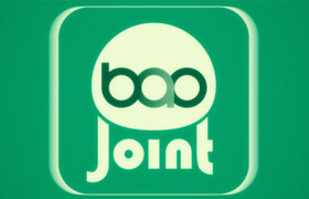 BAO Joint
