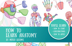 How to Learn Anatomy by Mitch Leeuwe - book