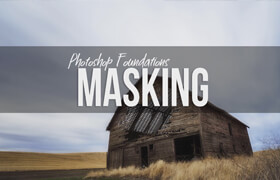 f.64 Elite - Ps Foundation - Masking