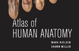 Atlas of human anatomy- mark nielsen - book