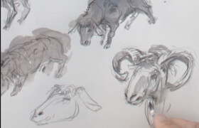 New Masters Academy - How to Draw Animals with Glenn Vilppu (HD)44GB